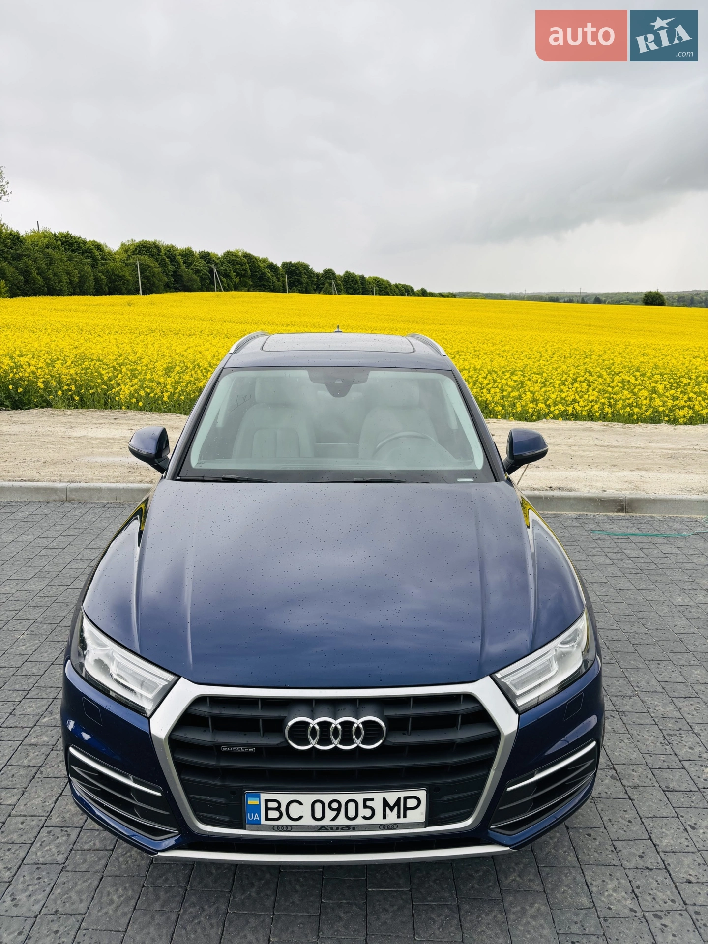2019 Audi Q5 - мініатюра 10