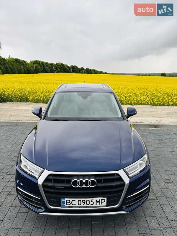 Внедорожник / Кроссовер Audi Q5 2019 в Львове фото 10 Внедорожник / Кроссовер Audi Q5 2019 в Львове