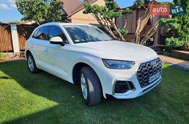Внедорожник / Кроссовер Audi Q5 2019 в 