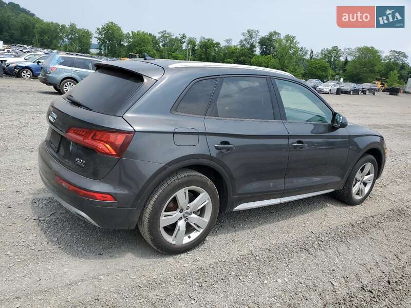 Внедорожник / Кроссовер Audi Q5 2018 в Житомире