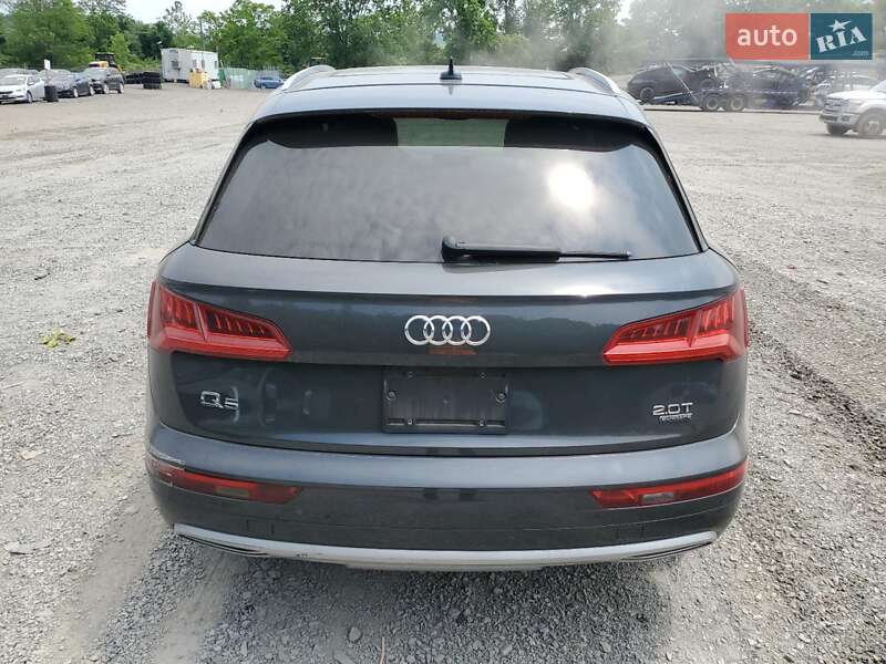 Внедорожник / Кроссовер Audi Q5 2018 в Житомире