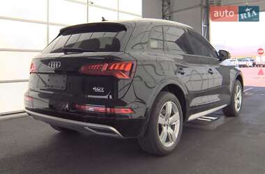 Внедорожник / Кроссовер Audi Q5 2017 в 