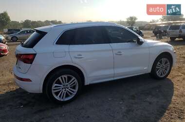 Внедорожник / Кроссовер Audi Q5 2019 в 