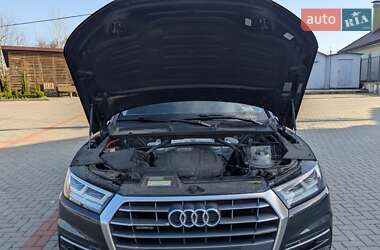 Внедорожник / Кроссовер Audi Q5 2017 в 