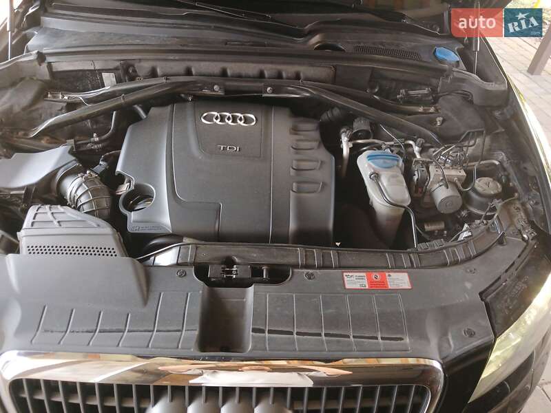 Внедорожник / Кроссовер Audi Q5 2009 в Хмельницком