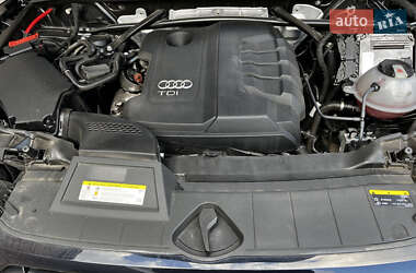 Внедорожник / Кроссовер Audi Q5 2020 в 