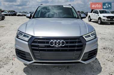 Внедорожник / Кроссовер Audi Q5 2019 в 