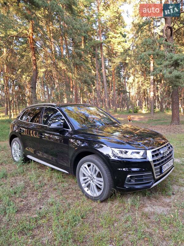 Внедорожник / Кроссовер Audi Q5 2019 в Ахтырке