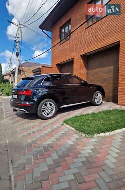 Внедорожник / Кроссовер Audi Q5 2019 в 
