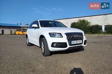 Audi Q5 2010