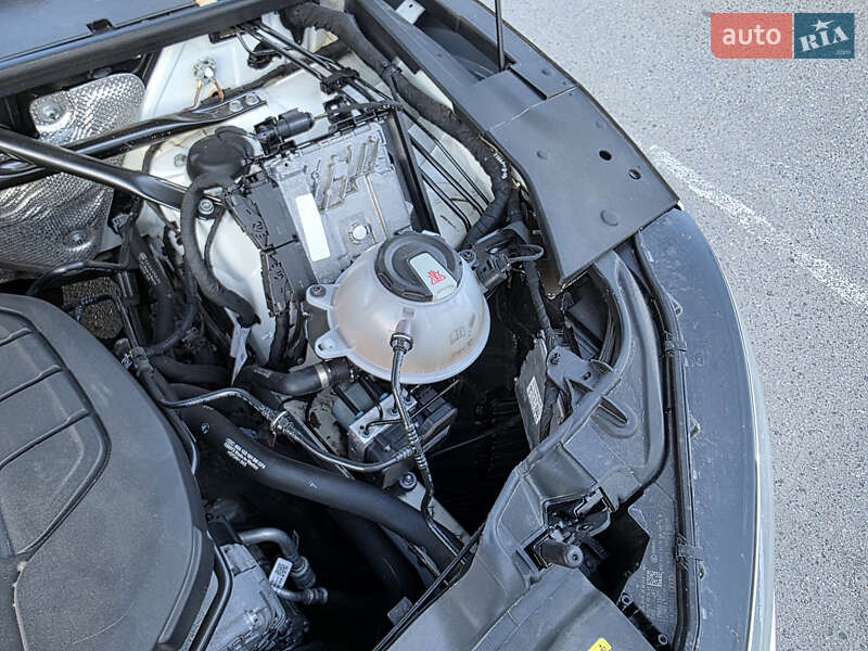 Внедорожник / Кроссовер Audi Q5 2019 в Ужгороде