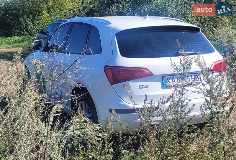 Внедорожник / Кроссовер Audi Q5 2011 в Бышеве