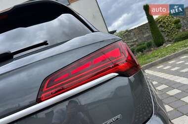 Внедорожник / Кроссовер Audi Q5 2023 в 
