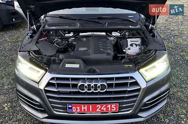 Внедорожник / Кроссовер Audi Q5 2019 в 