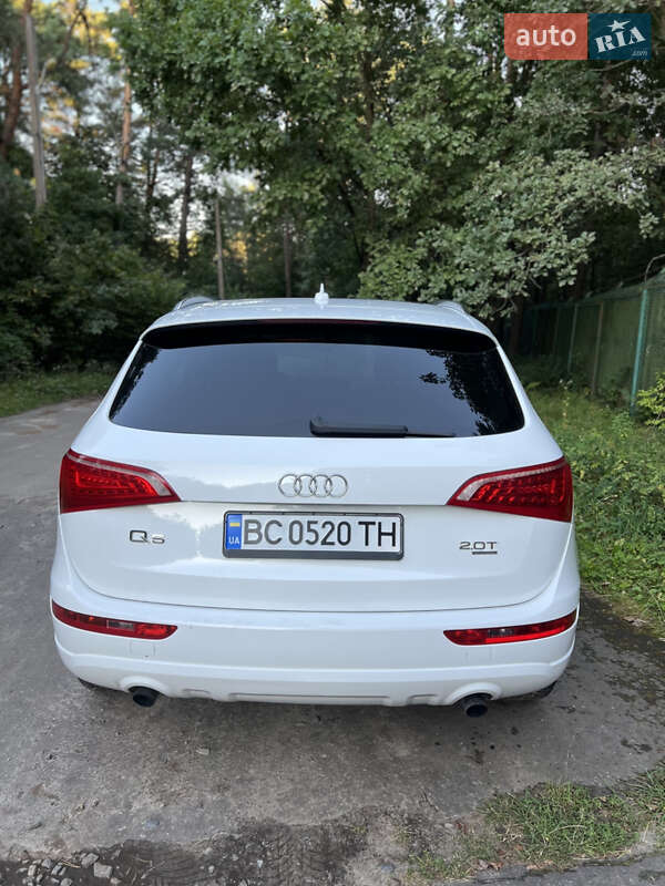 Внедорожник / Кроссовер Audi Q5 2010 в Судовой Вишне фото 7 Внедорожник / Кроссовер Audi Q5 2010 в Судовой Вишне