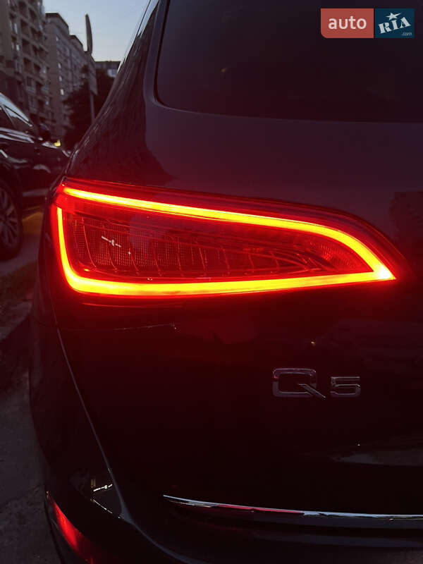 Внедорожник / Кроссовер Audi Q5 2016 в Львове фото 59 Внедорожник / Кроссовер Audi Q5 2016 в Львове