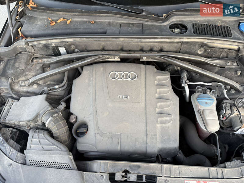 Внедорожник / Кроссовер Audi Q5 2009 в Киеве