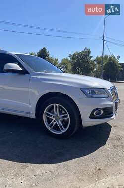 Позашляховик / Кросовер Audi Q5 2016 в 