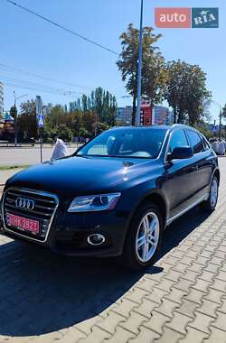 Audi Q5 2013 Audi Q5 2013
