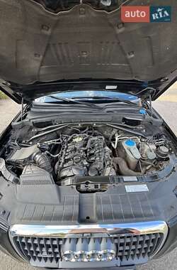Позашляховик / Кросовер Audi Q5 2010 в 