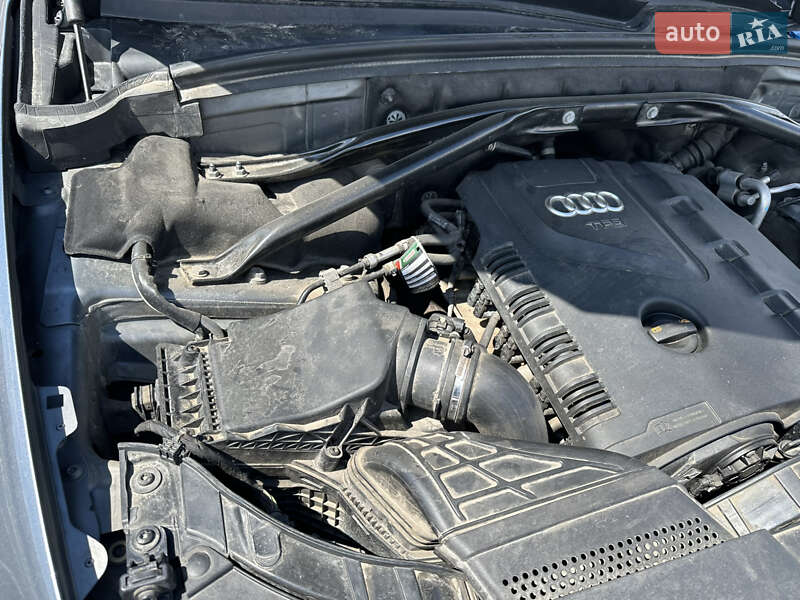 Внедорожник / Кроссовер Audi Q5 2013 в Житомире фото 32 Внедорожник / Кроссовер Audi Q5 2013 в Житомире