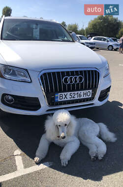 Audi Q5 2013