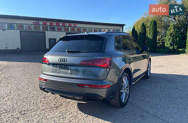 Внедорожник / Кроссовер Audi Q5 2024 в 