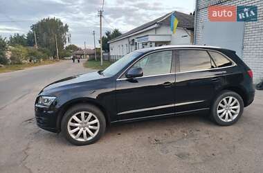 Внедорожник / Кроссовер Audi Q5 2011 в 