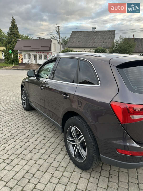 Внедорожник / Кроссовер Audi Q5 2010 в Хусте