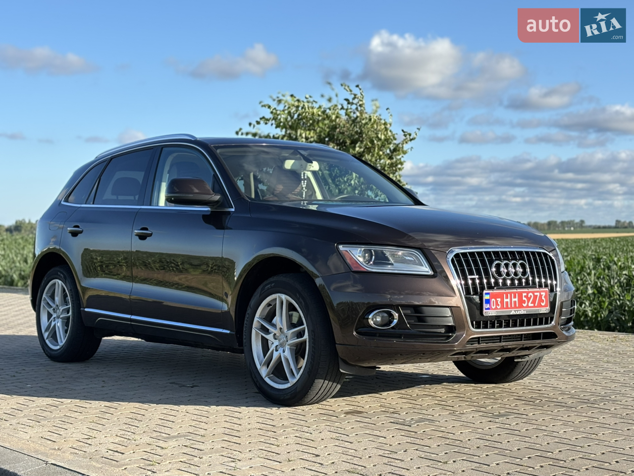2013 Audi Q5 - мініатюра 17
