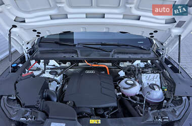 Внедорожник / Кроссовер Audi Q5 2024 в 