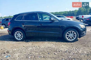 Внедорожник / Кроссовер Audi Q5 2011 в 