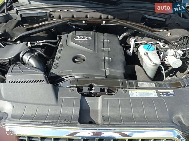 Внедорожник / Кроссовер Audi Q5 2013 в Ивано-Франковске