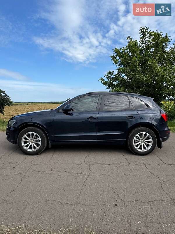 Внедорожник / Кроссовер Audi Q5 2009 в Киеве
