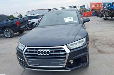 Внедорожник / Кроссовер Audi Q5 2019 в 