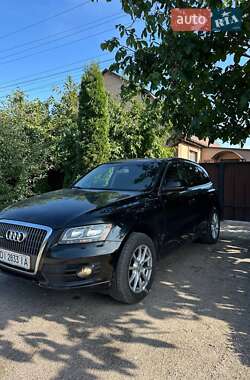 Audi Q5 2010