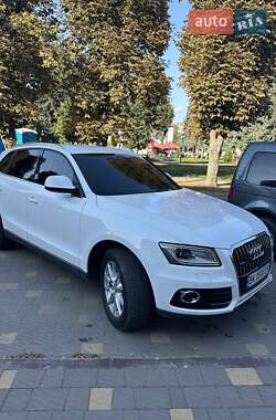 Audi Q5 2013