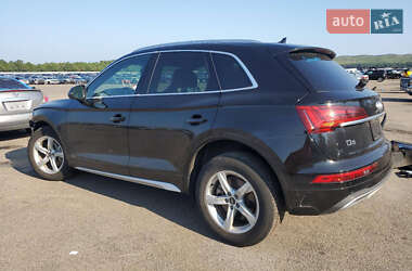 Внедорожник / Кроссовер Audi Q5 2023 в 