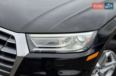 Внедорожник / Кроссовер Audi Q5 2019 в 