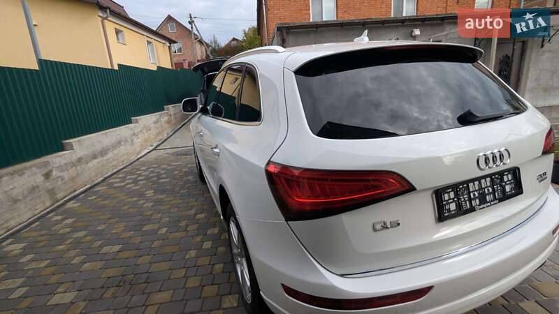 Внедорожник / Кроссовер Audi Q5 2017 в Хмельницком