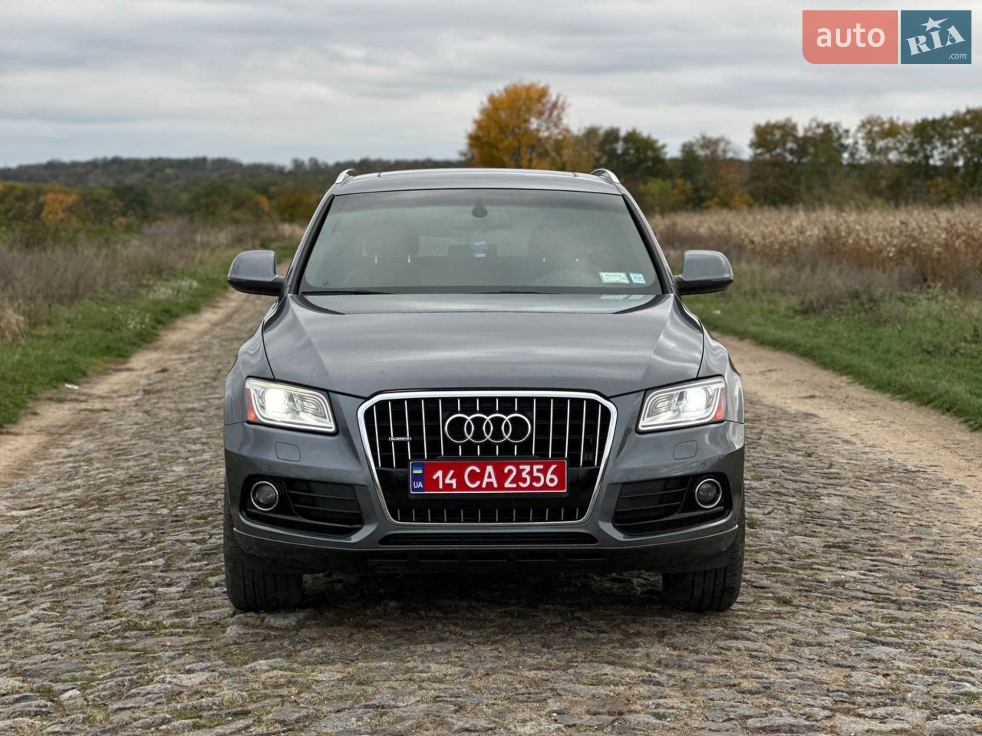 2013 Audi Q5 - фото 1