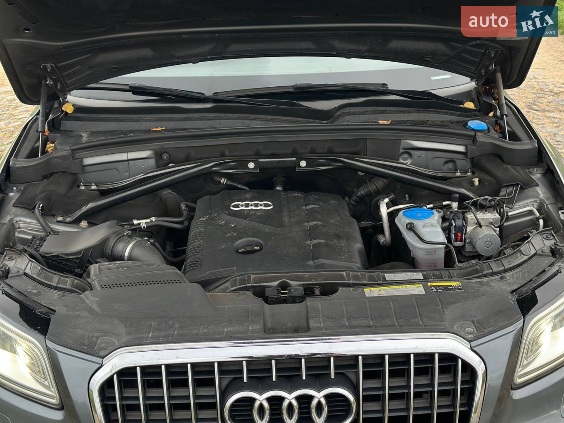 2013 Audi Q5 - мініатюра 16