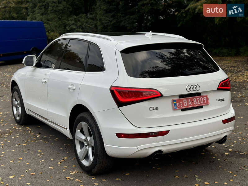 Внедорожник / Кроссовер Audi Q5 2012 в Дубно фото 13 Внедорожник / Кроссовер Audi Q5 2012 в Дубно