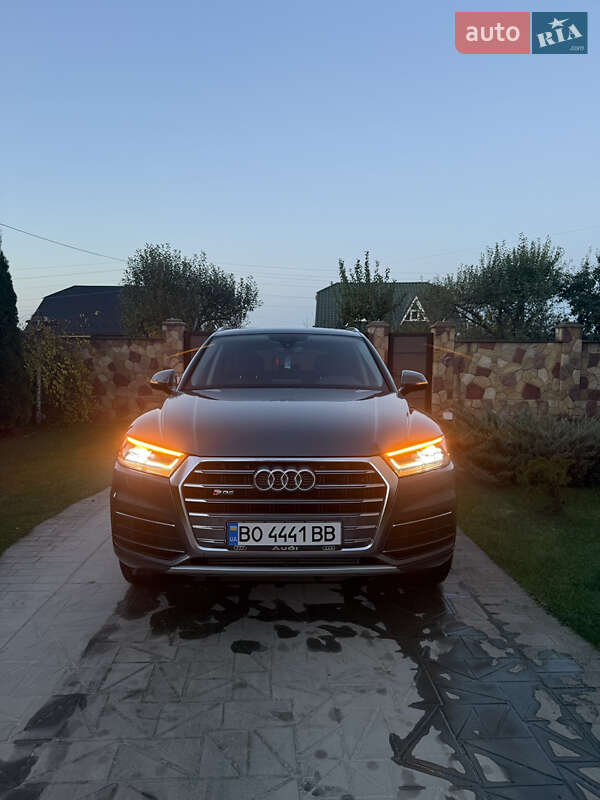 Внедорожник / Кроссовер Audi Q5 2019 в Чорткове фото 3 Внедорожник / Кроссовер Audi Q5 2019 в Чорткове