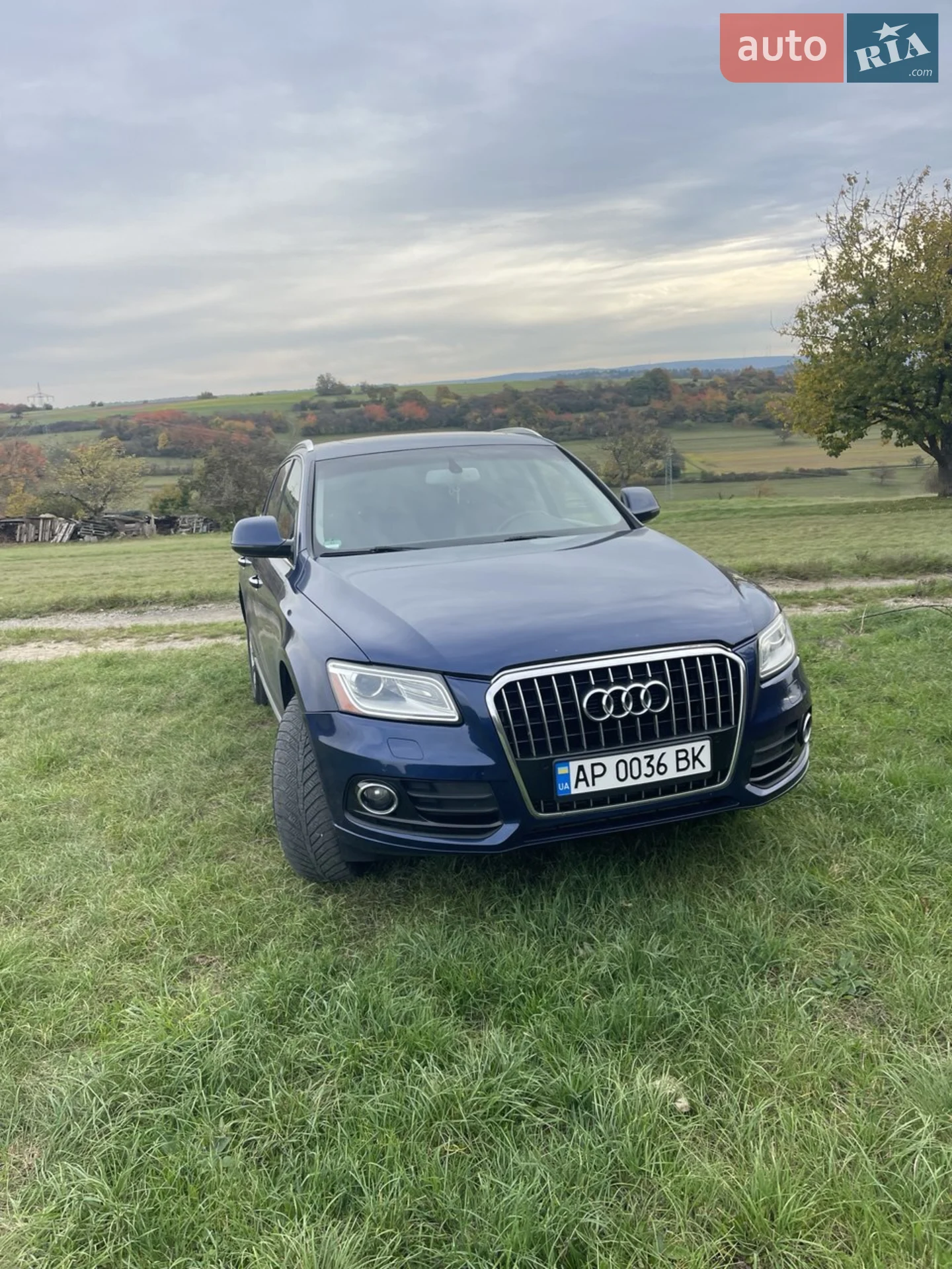 2015 Audi Q5 - фото 1