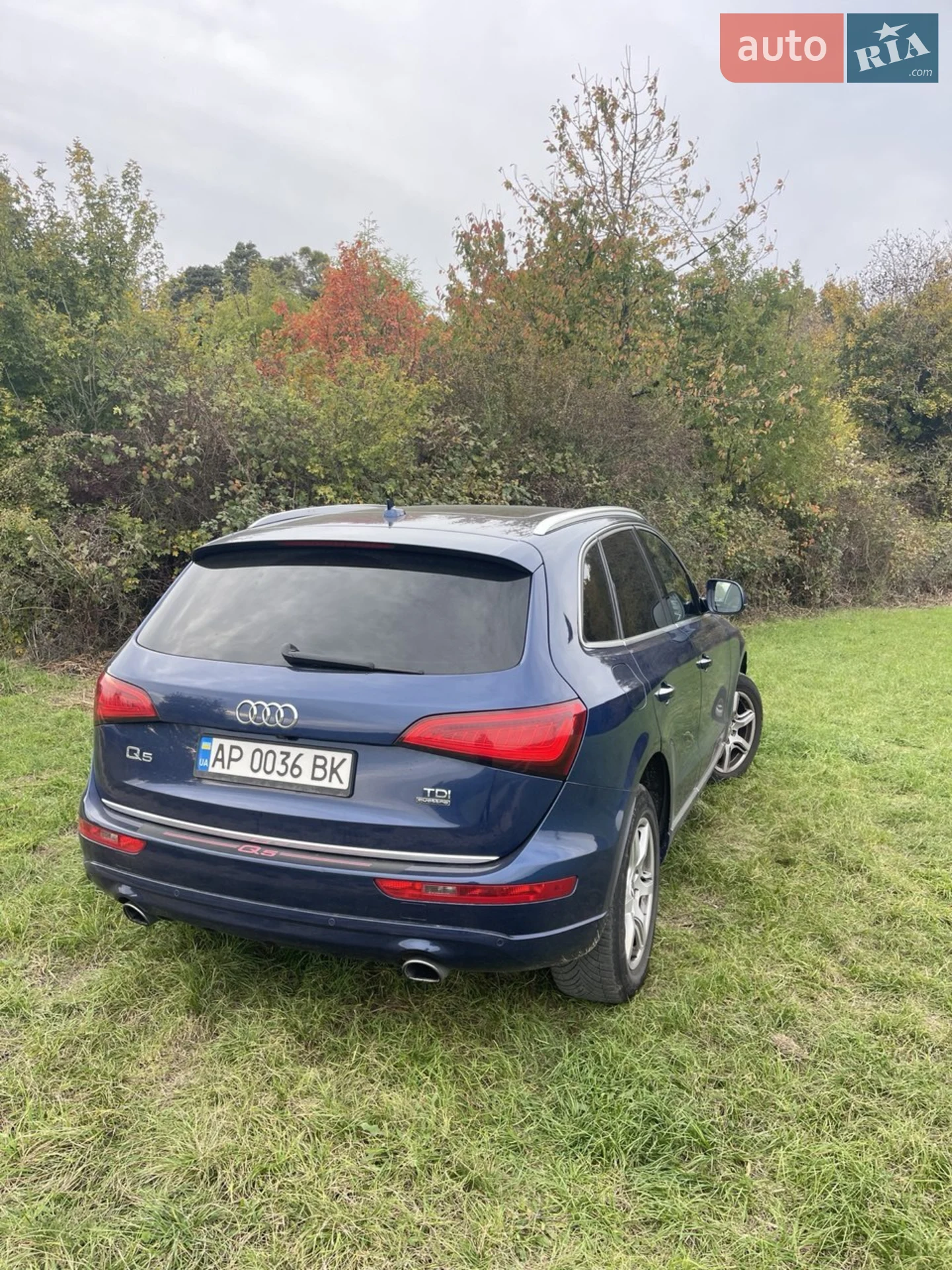2015 Audi Q5 - мініатюра 3
