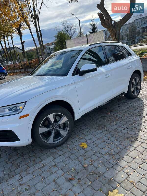 Внедорожник / Кроссовер Audi Q5 2020 в Львове фото 11 Внедорожник / Кроссовер Audi Q5 2020 в Львове
