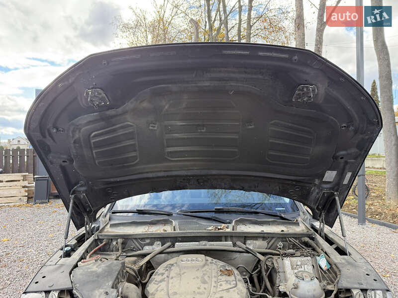 Позашляховик / Кросовер Audi Q5 2018 в Стрию фото 34 Позашляховик / Кросовер Audi Q5 2018 в Стрию