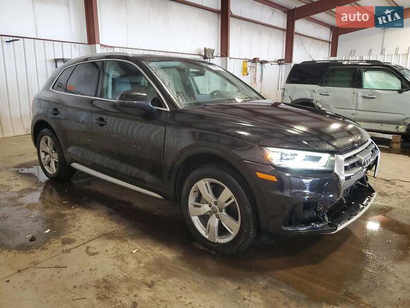 Позашляховик / Кросовер Audi Q5 2019 в Львові фото 4 Позашляховик / Кросовер Audi Q5 2019 в Львові