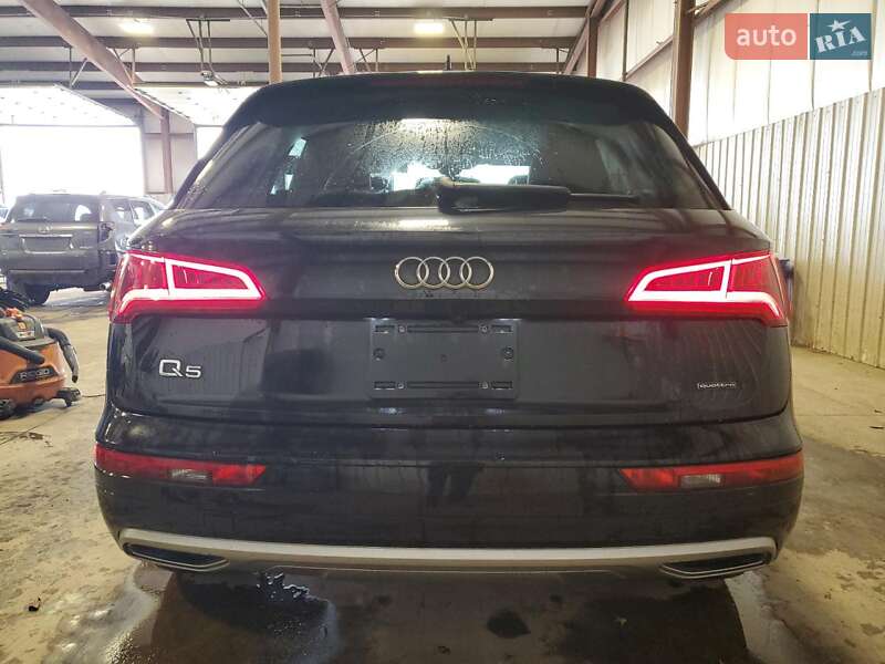 Позашляховик / Кросовер Audi Q5 2019 в Львові фото 6 Позашляховик / Кросовер Audi Q5 2019 в Львові